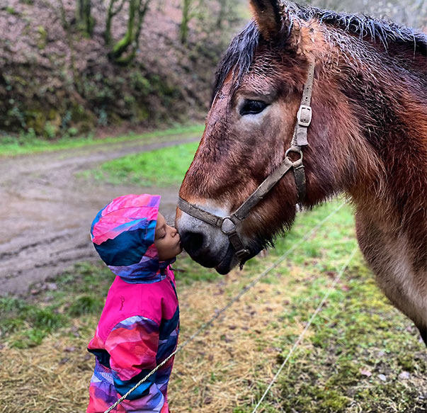 Une image d'un enfant qui fait un bisou à un cheval.